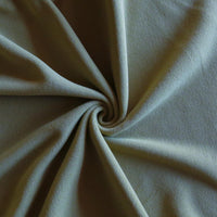 Sage Micro Double Velour Polartec 100 Fleece Fabric