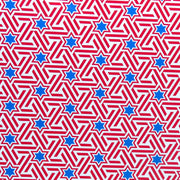 Americana Stars and Stripes Poly Spandex Swimsuit Fabric