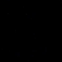 Black Polyester Boardshort Fabric