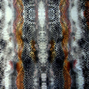 Copper Python Nylon Lycra Swimsuit Fabric