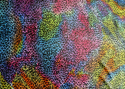 Rainbow Colored Leopard Nylon Lycra Swimsuit Fabric