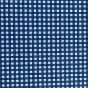 Harmony Blue Gingham Poly Spandex Swimsuit Fabric