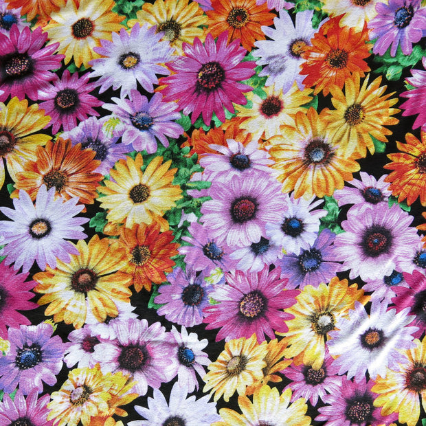 Daisy Party Floral Cotton Lycra Jersey Knit Fabric