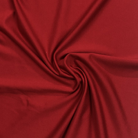 Red Flex Nylon Spandex Athletic Knit Fabric