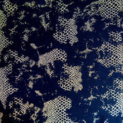 Gold Foil Reptile Nylon Spandex Swimsuit Fabric
