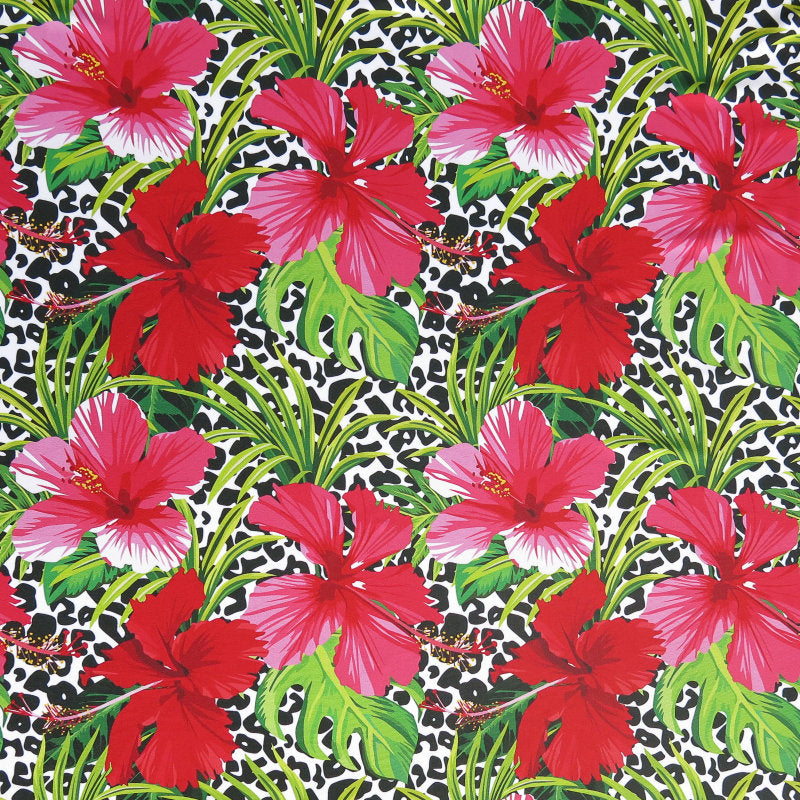 RedPinkHibiscusonLeopardSwim-