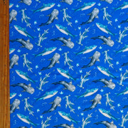 Sharks on Royal Blue Nylon Spandex Swimsuit Fabric
