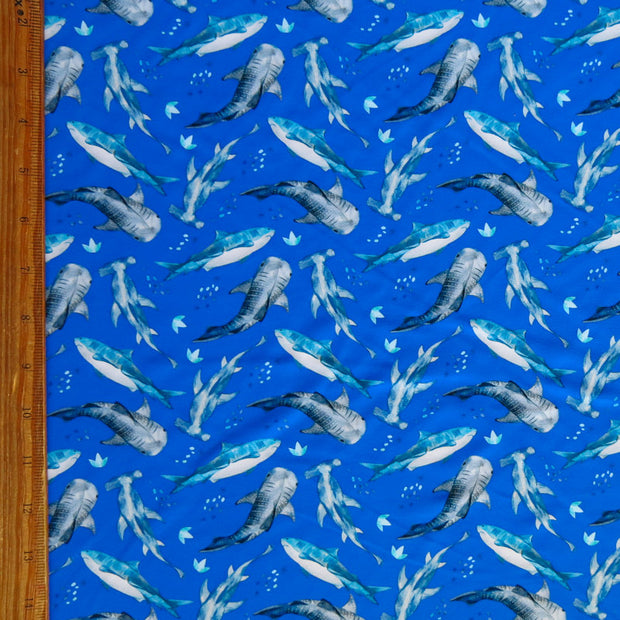 Sharks on Royal Blue Nylon Spandex Swimsuit Fabric