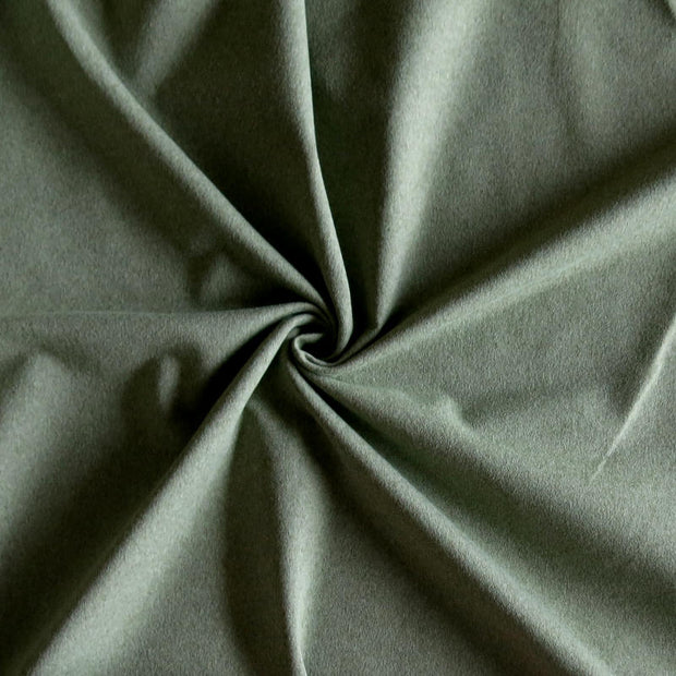 Splendid Sage Sueded Poly Lycra Jersey Knit Fabric