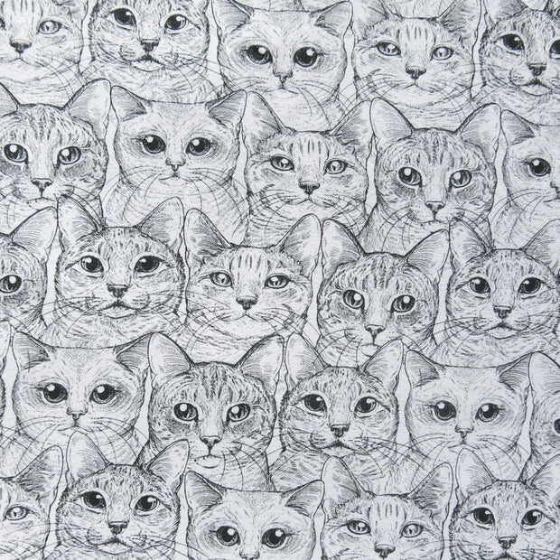 Contented Cats Cotton Lycra Jersey Knit Fabric