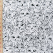 Contented Cats Cotton Lycra Jersey Knit Fabric