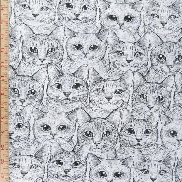 Contented Cats Cotton Lycra Jersey Knit Fabric