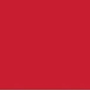 High Risk Red Bamboo Organic Cotton Spandex Jersey Knit Fabric - 34" Remnant