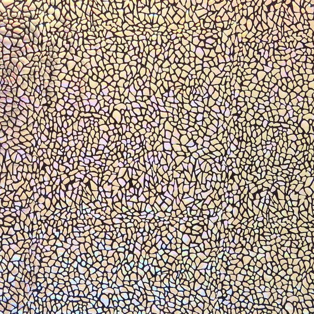 Metallic Pebbles Nylon Spandex Swimsuit Fabric