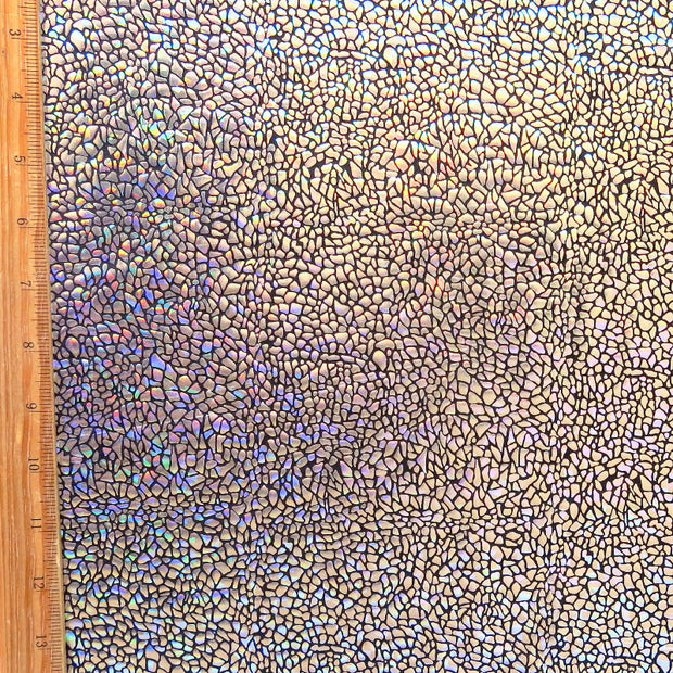 Metallic Pebbles Nylon Spandex Swimsuit Fabric