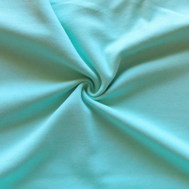 Mint Cotton Heavy Rib Knit Fabric