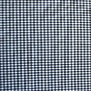 Navy and White Gingham Nylon Lycra Swimsuit Fabric