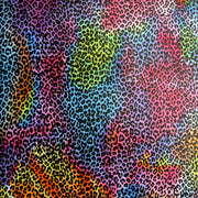 Rainbow Colored Leopard Nylon Lycra Swimsuit Fabric