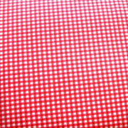 Red and White Gingham Nylon Lycra Swimsuit Fabric