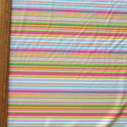 Spring in your Step Stripe Nylon Spandex Swimsuit Fabric
