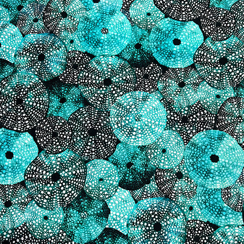 Urchin Nylon Spandex Swimsuit Fabric