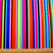 Vertical Rainbow Stripes Nylon Lycra Swimsuit Fabric