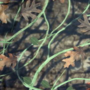 Vine Camo Nylon Lycra Swimsuit Fabric