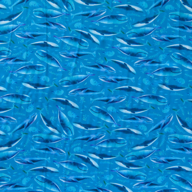 Whale Migration Nylon Spandex Swimsuit Fabric