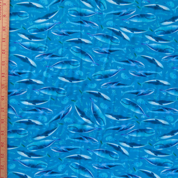 Whale Migration Nylon Spandex Swimsuit Fabric